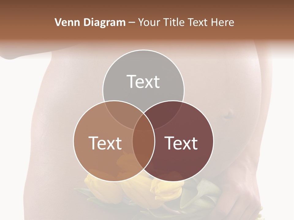 Daddy Belly Expecting PowerPoint Template