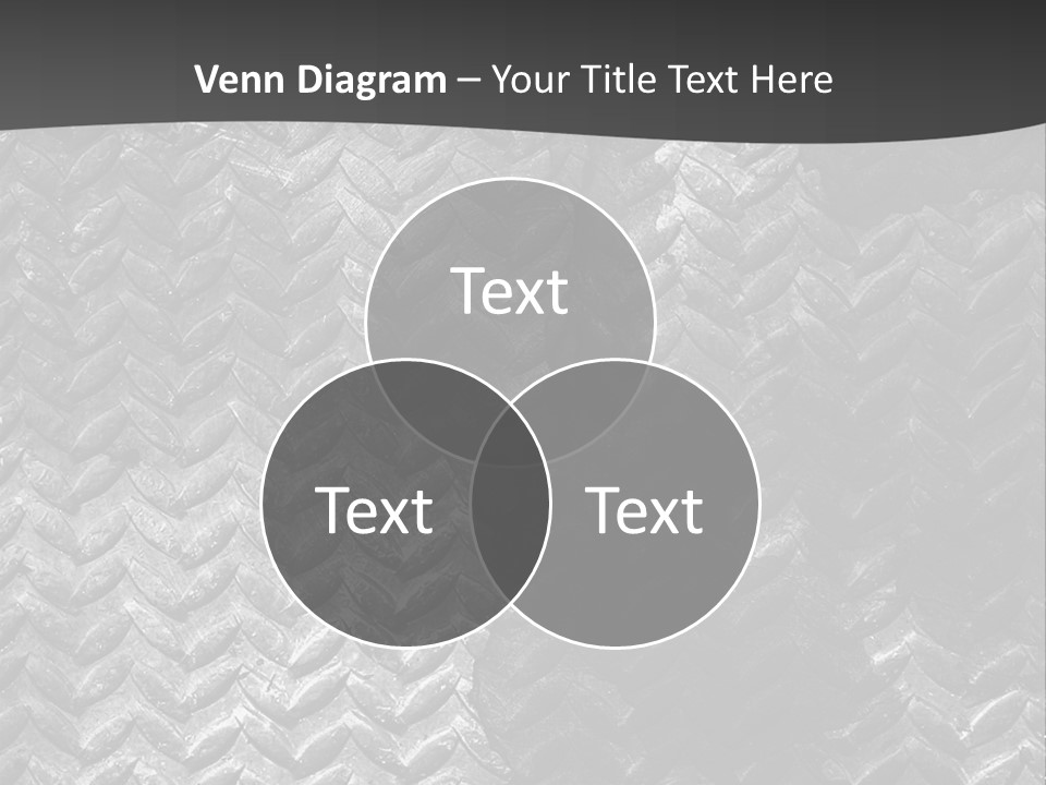 A Black And White Photo Of A Man's Face PowerPoint Template