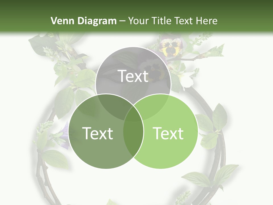 Eight Holiday Element PowerPoint Template