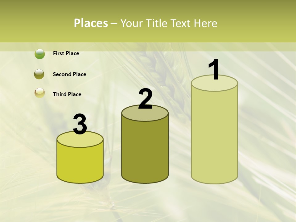 Grain Sun Grass PowerPoint Template