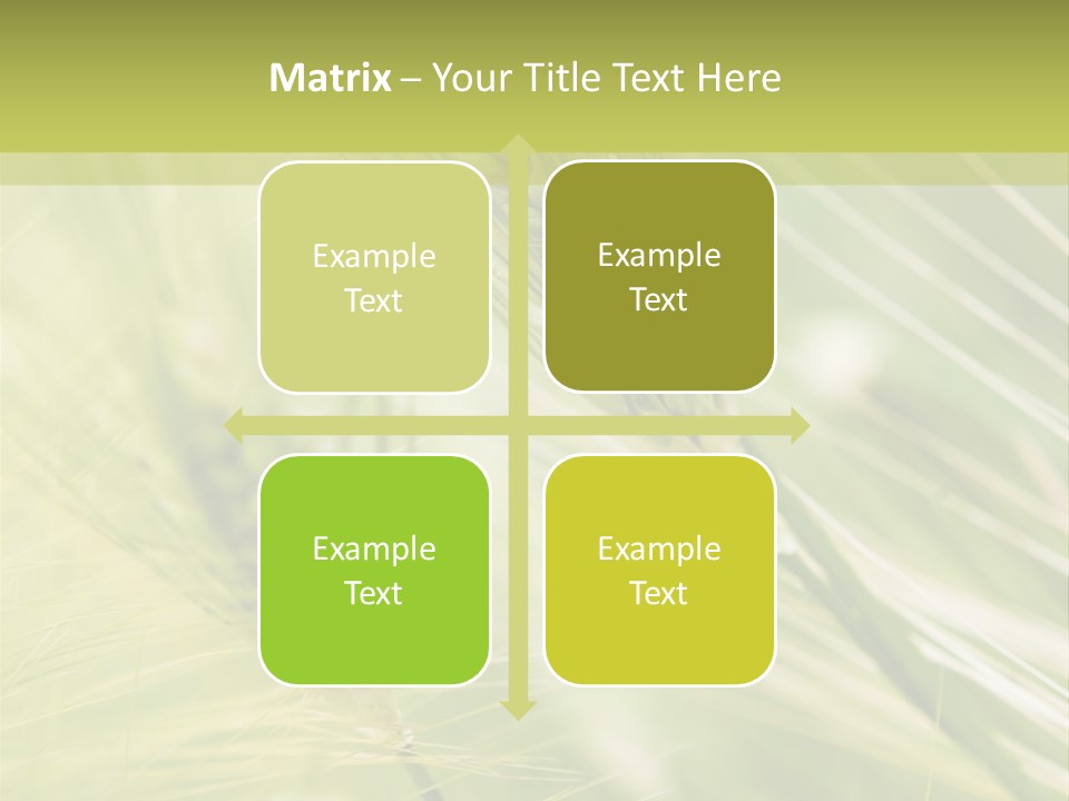 Grain Sun Grass PowerPoint Template