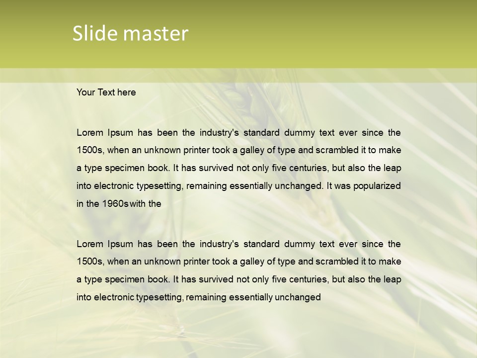 Grain Sun Grass PowerPoint Template