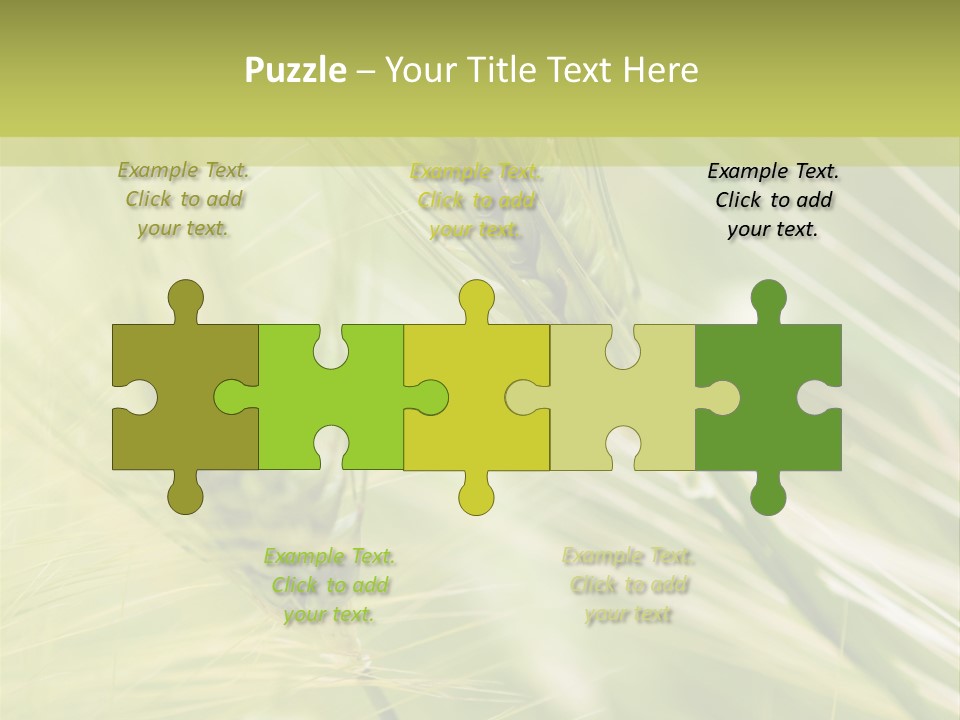 Grain Sun Grass PowerPoint Template