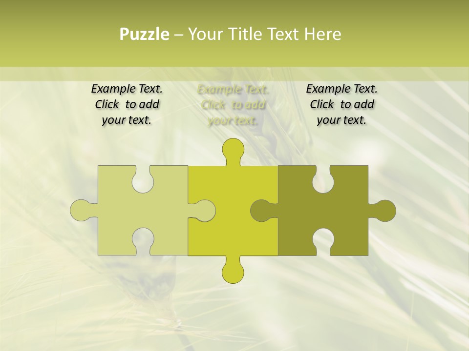 Grain Sun Grass PowerPoint Template