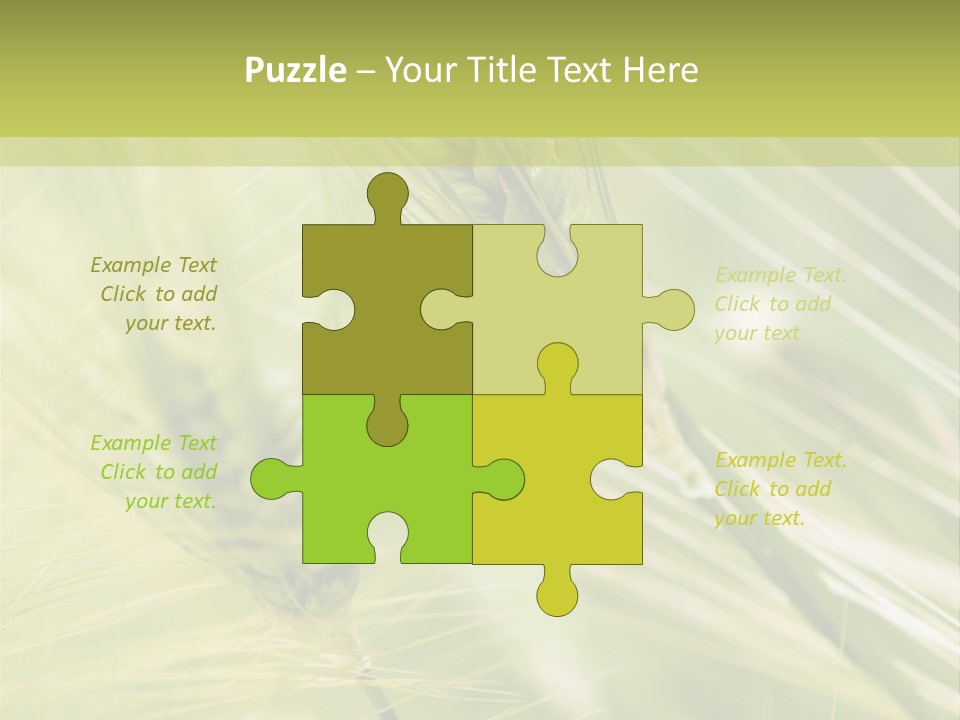 Grain Sun Grass PowerPoint Template