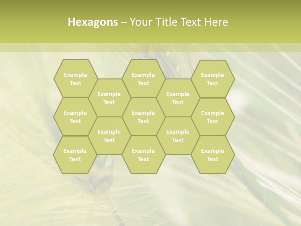 Grain Sun Grass PowerPoint Template