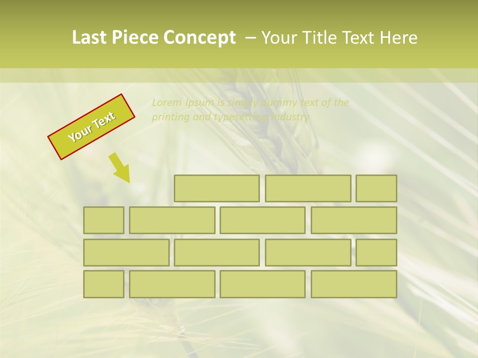 Grain Sun Grass PowerPoint Template