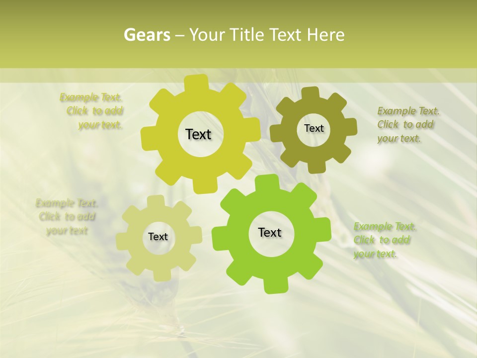 Grain Sun Grass PowerPoint Template