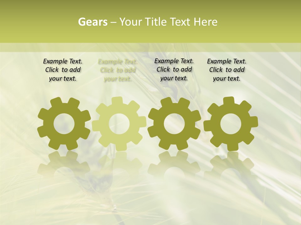 Grain Sun Grass PowerPoint Template
