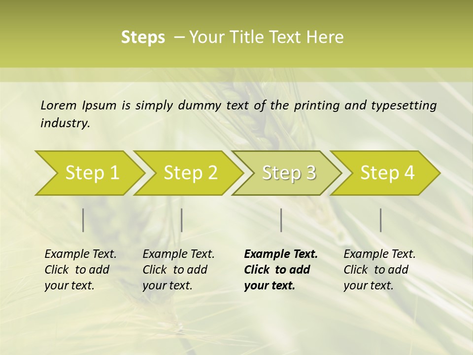 Grain Sun Grass PowerPoint Template
