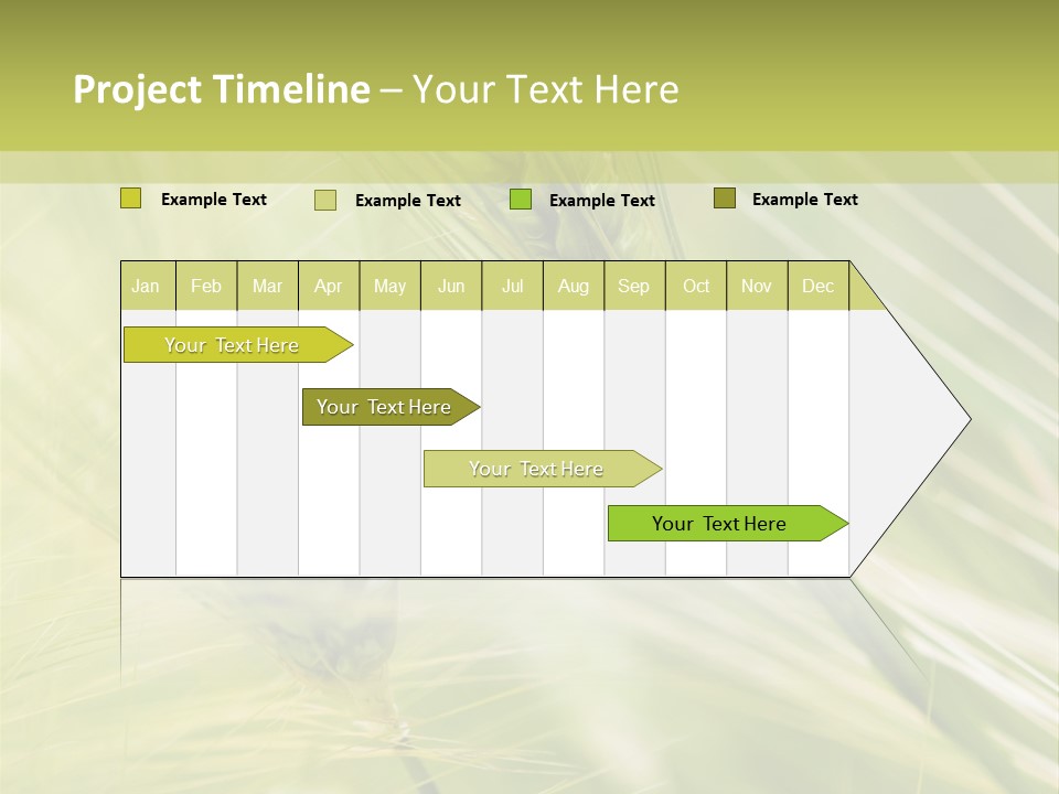 Grain Sun Grass PowerPoint Template