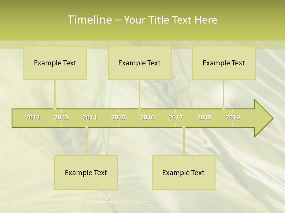 Grain Sun Grass PowerPoint Template