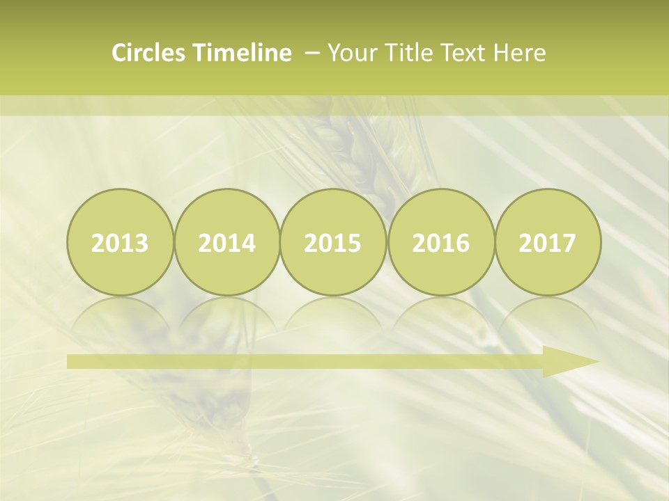 Grain Sun Grass PowerPoint Template