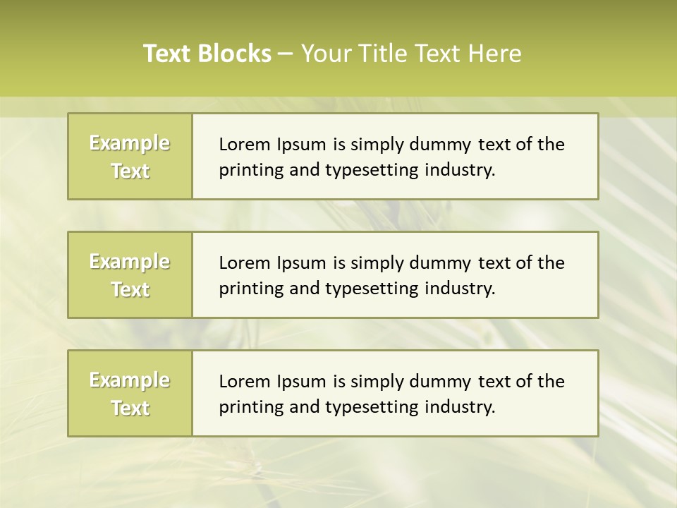 Grain Sun Grass PowerPoint Template