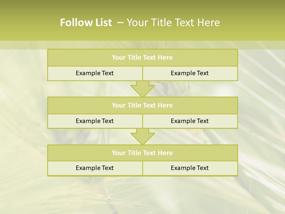 Grain Sun Grass PowerPoint Template