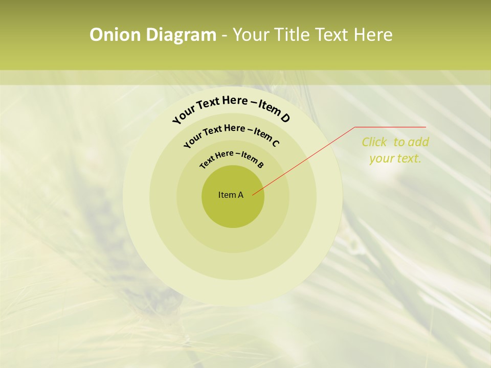 Grain Sun Grass PowerPoint Template