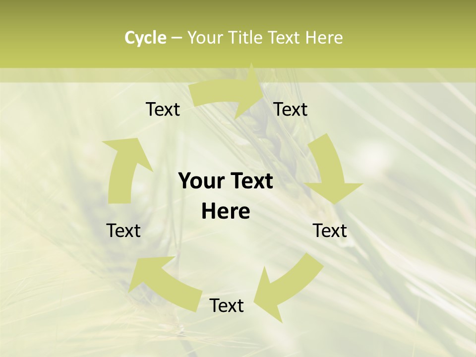 Grain Sun Grass PowerPoint Template