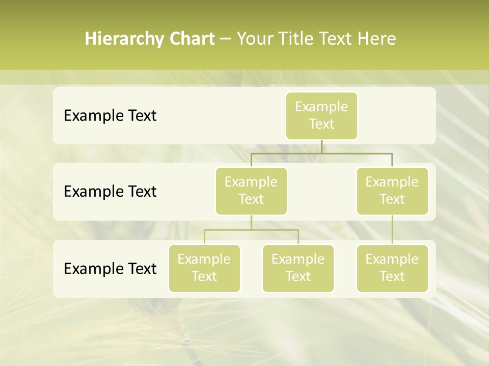 Grain Sun Grass PowerPoint Template