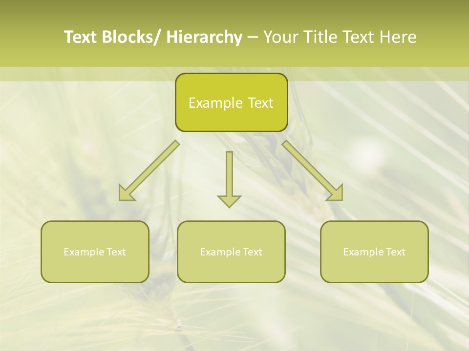 Grain Sun Grass PowerPoint Template