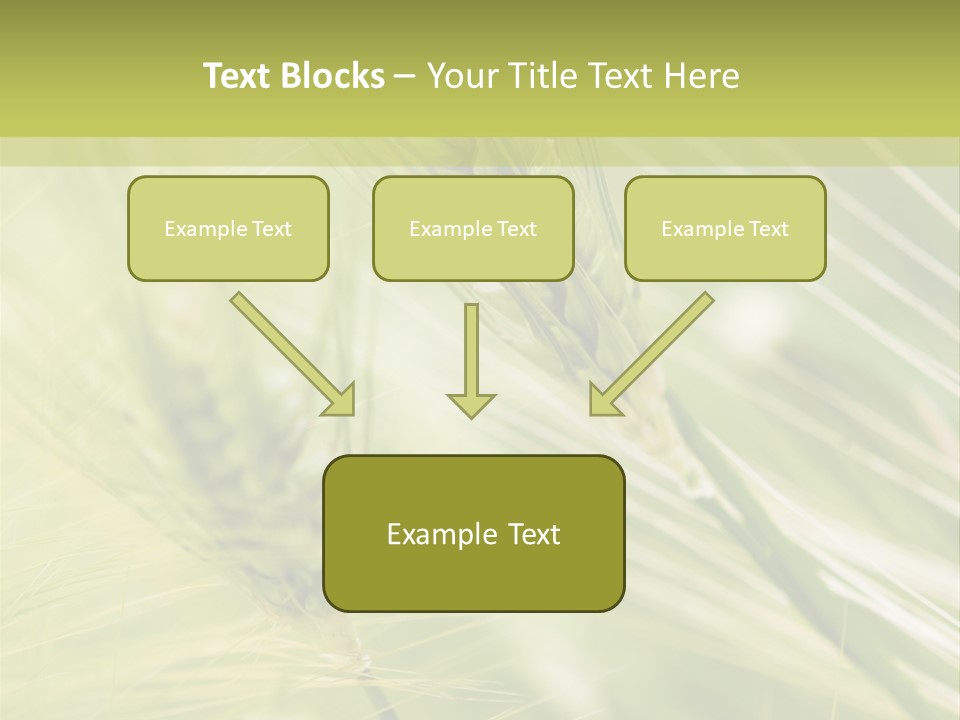 Grain Sun Grass PowerPoint Template