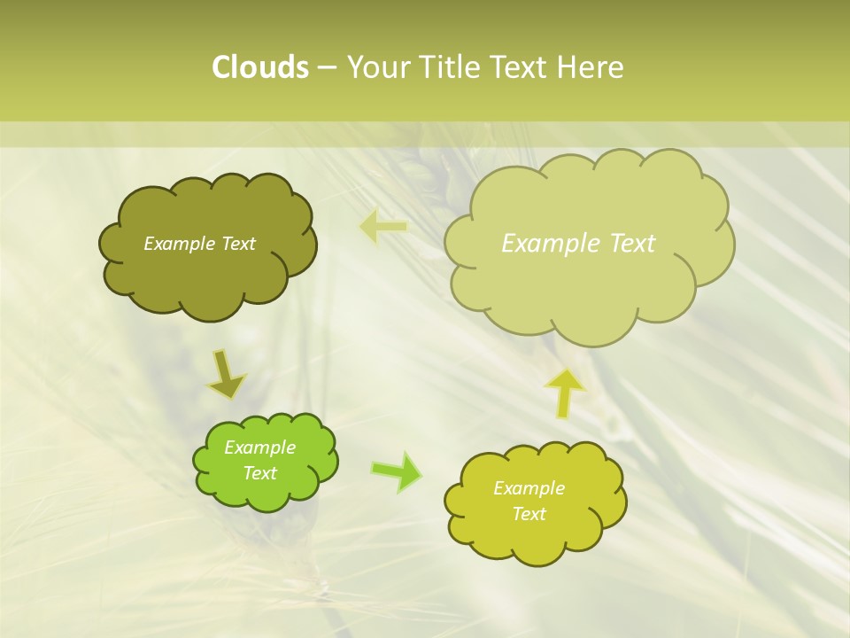 Grain Sun Grass PowerPoint Template