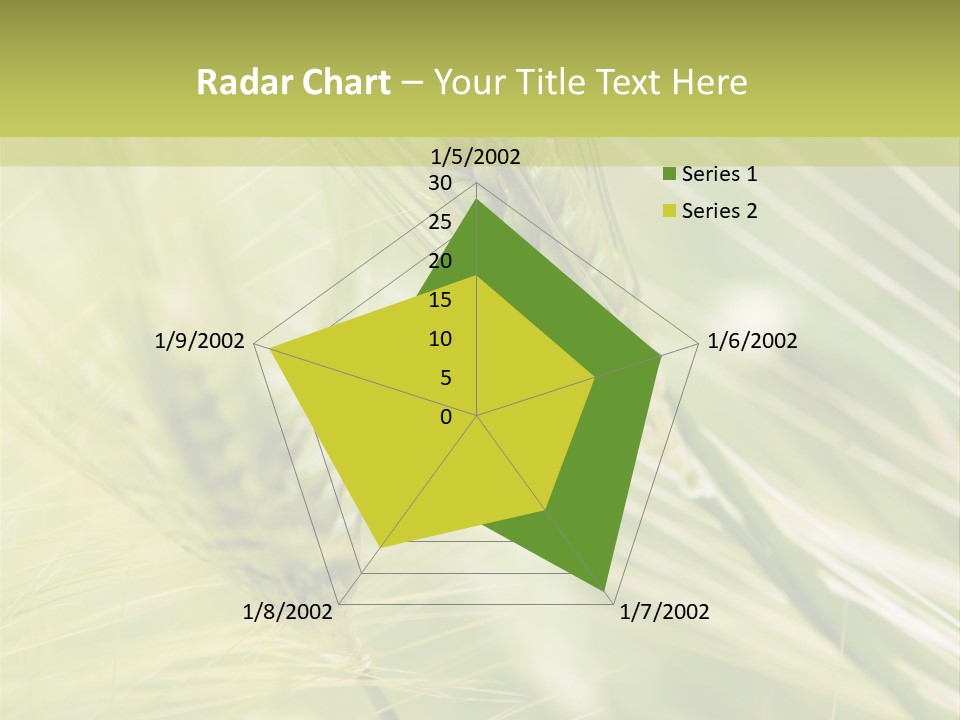 Grain Sun Grass PowerPoint Template