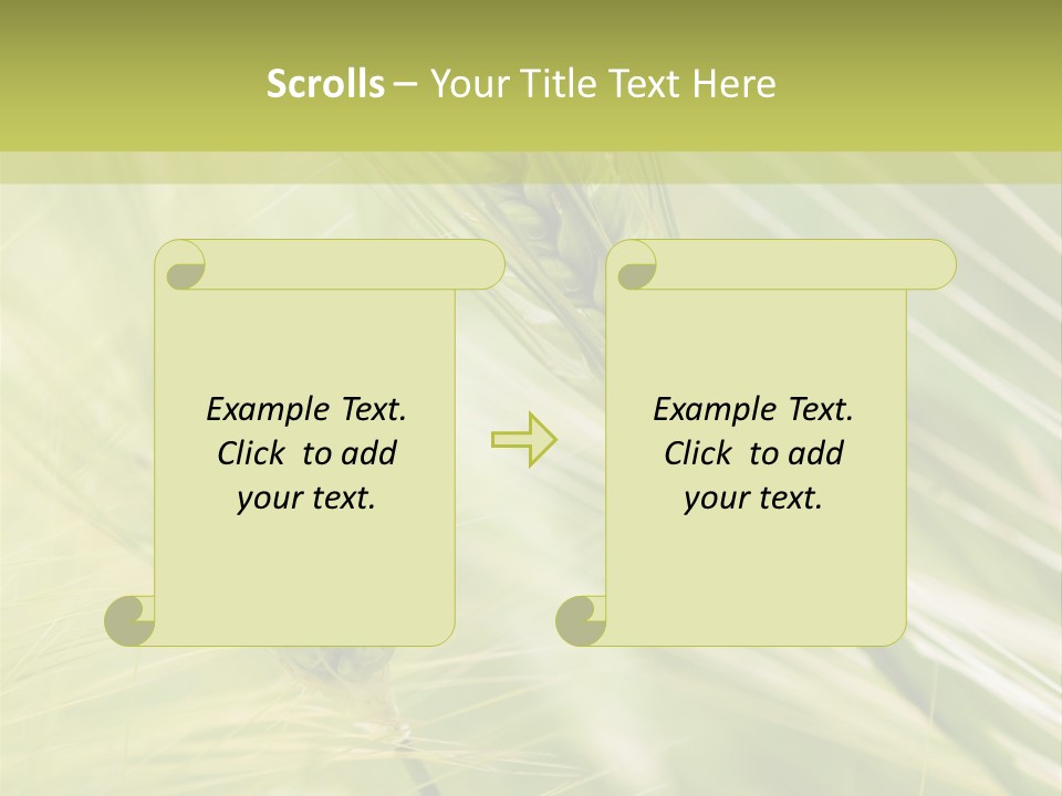 Grain Sun Grass PowerPoint Template