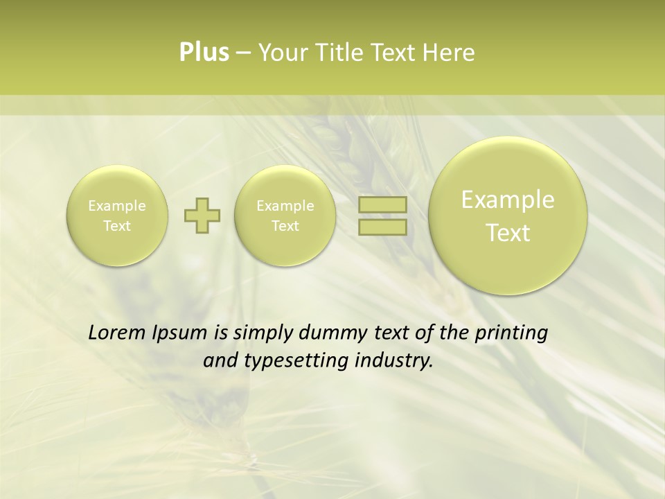 Grain Sun Grass PowerPoint Template