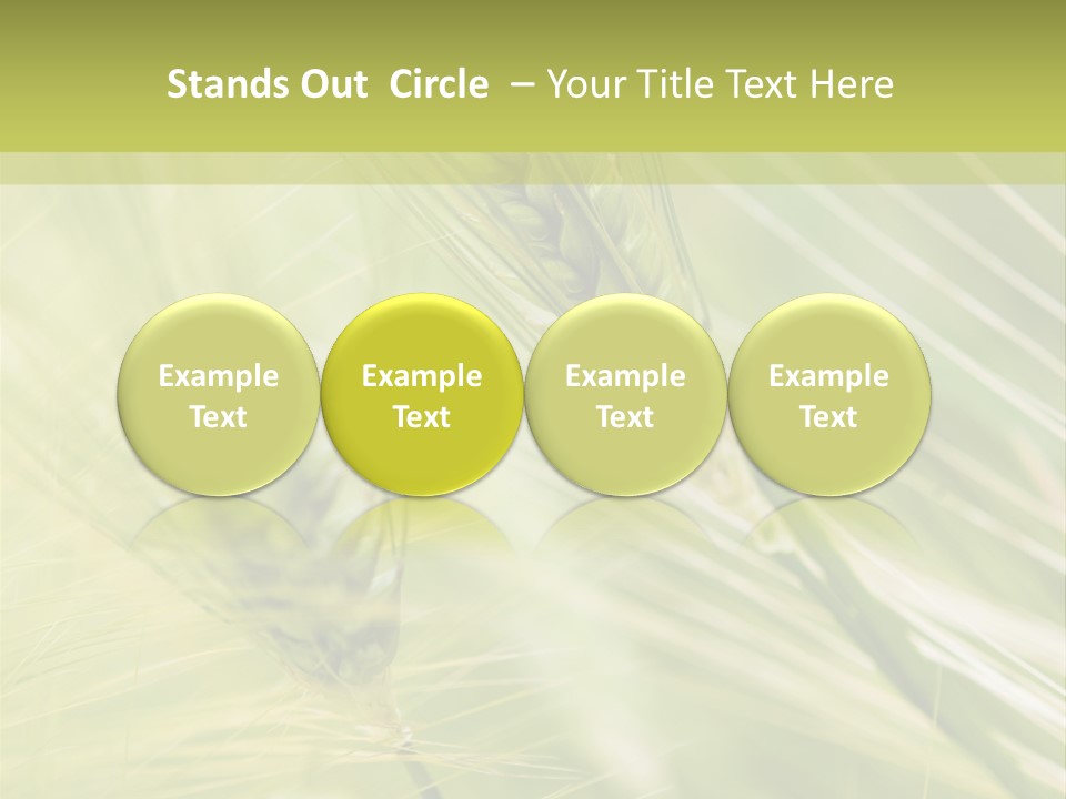 Grain Sun Grass PowerPoint Template