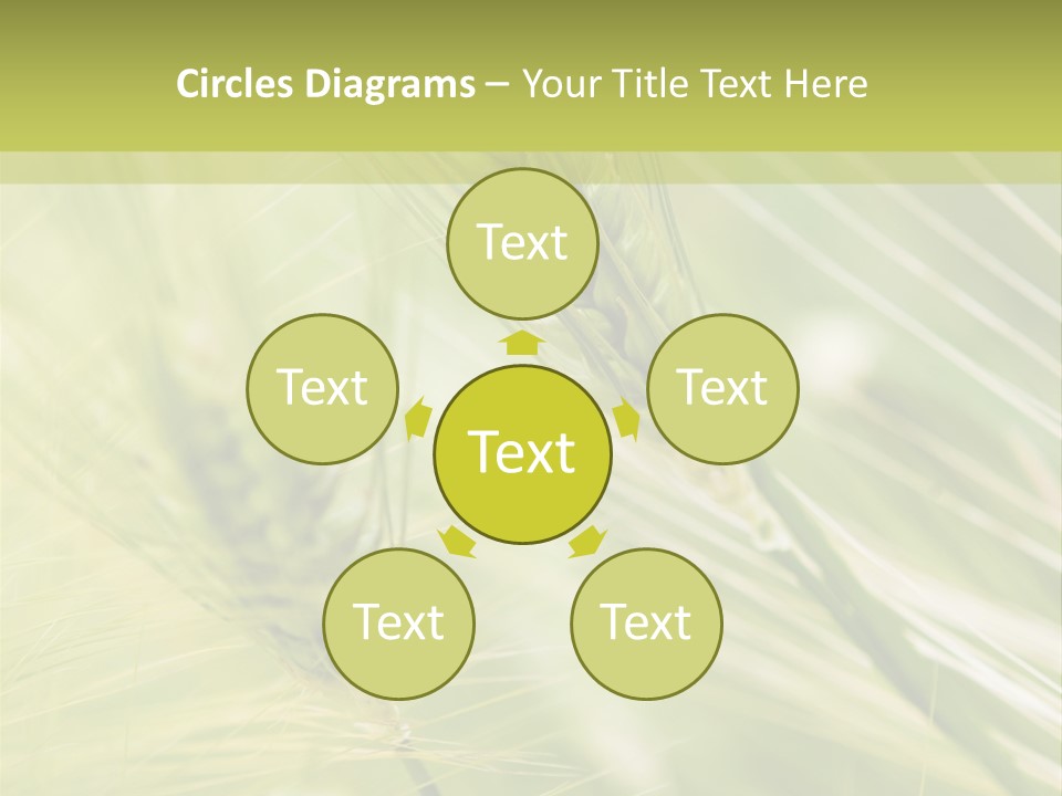 Grain Sun Grass PowerPoint Template