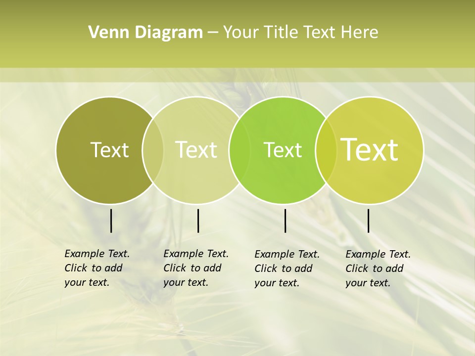 Grain Sun Grass PowerPoint Template