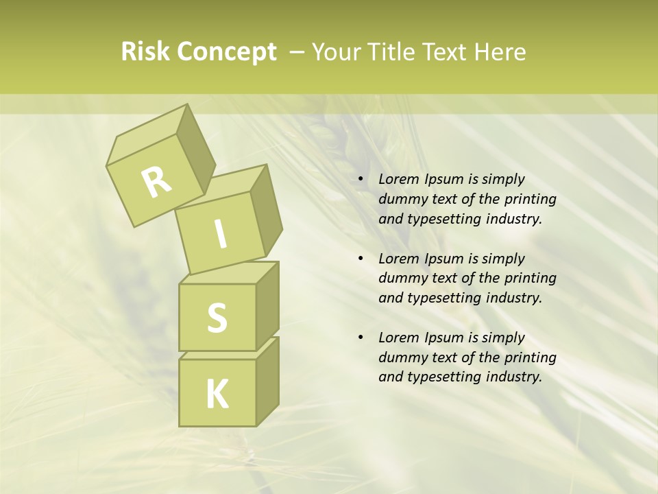 Grain Sun Grass PowerPoint Template