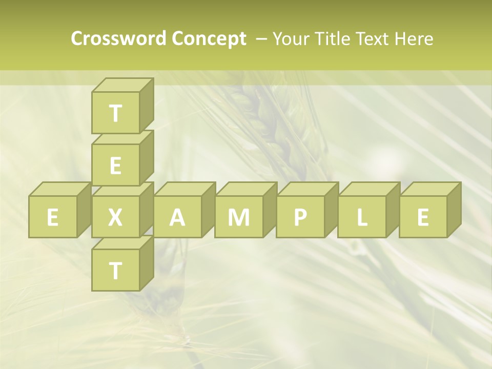 Grain Sun Grass PowerPoint Template