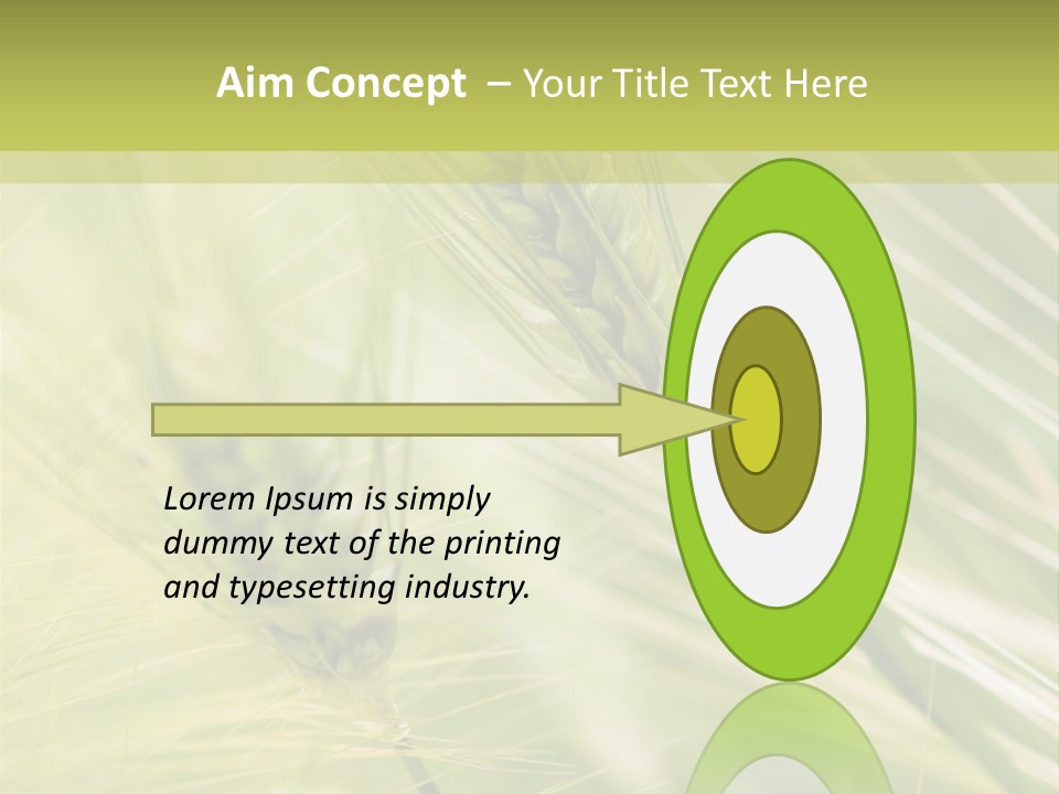 Grain Sun Grass PowerPoint Template