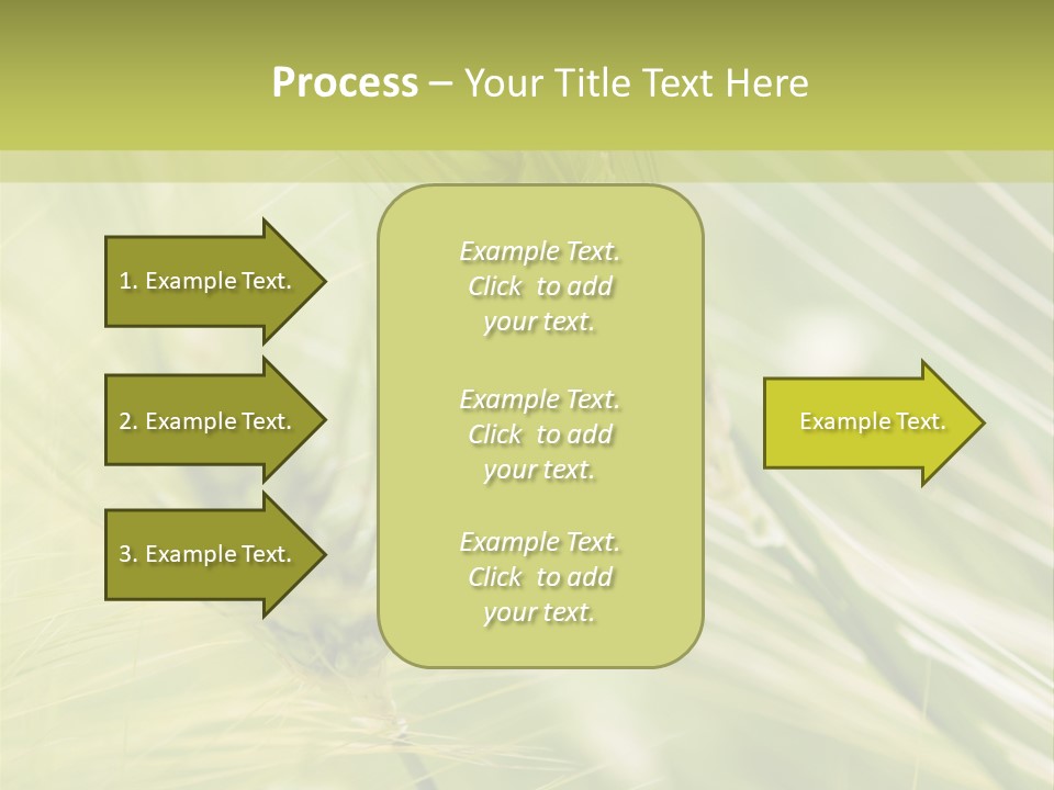 Grain Sun Grass PowerPoint Template