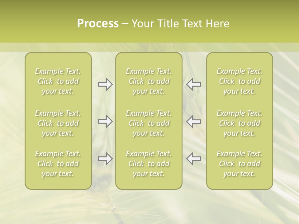 Grain Sun Grass PowerPoint Template