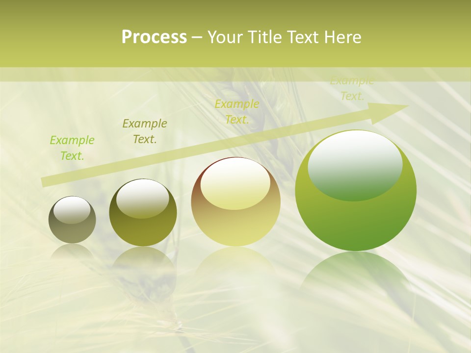Grain Sun Grass PowerPoint Template