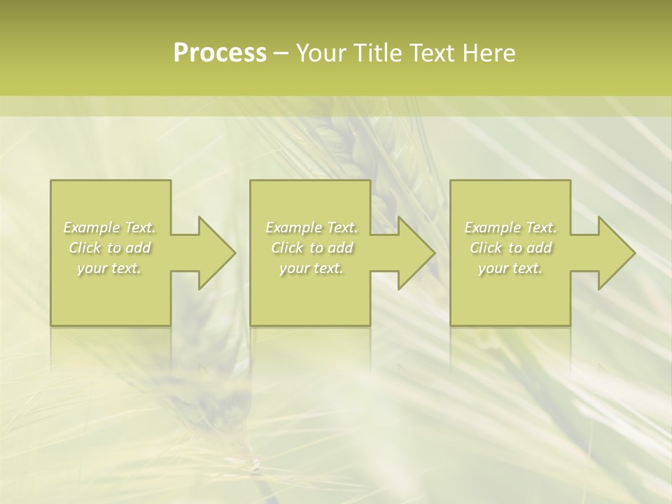 Grain Sun Grass PowerPoint Template