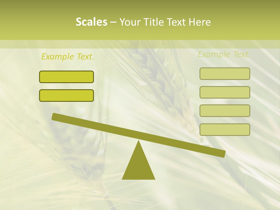 Grain Sun Grass PowerPoint Template