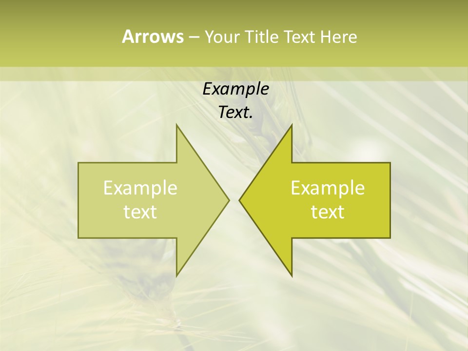 Grain Sun Grass PowerPoint Template