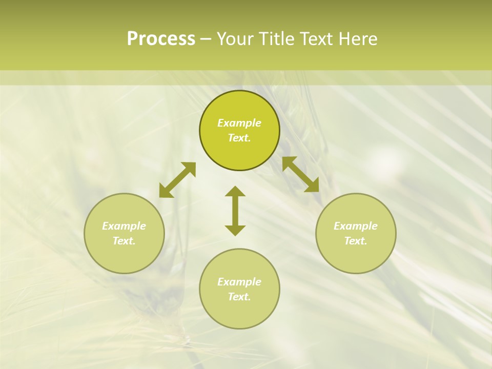 Grain Sun Grass PowerPoint Template