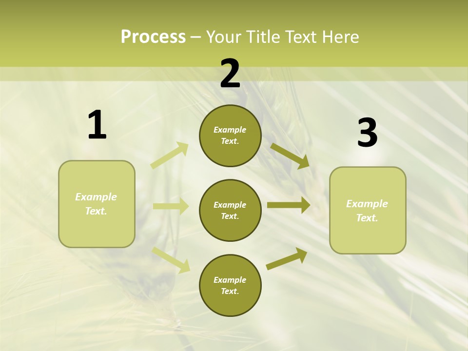 Grain Sun Grass PowerPoint Template