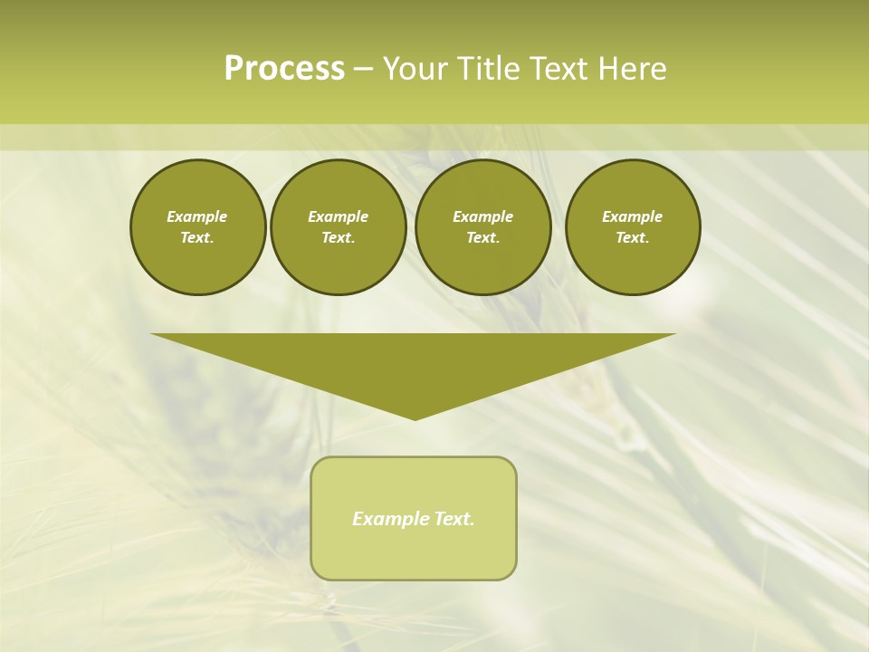 Grain Sun Grass PowerPoint Template
