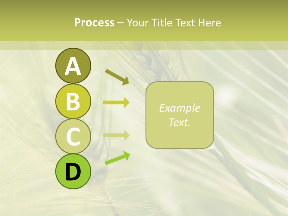 Grain Sun Grass PowerPoint Template