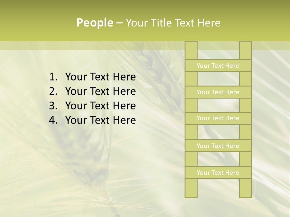Grain Sun Grass PowerPoint Template