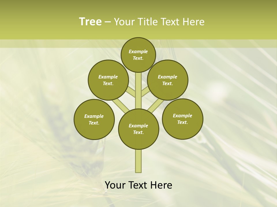 Grain Sun Grass PowerPoint Template