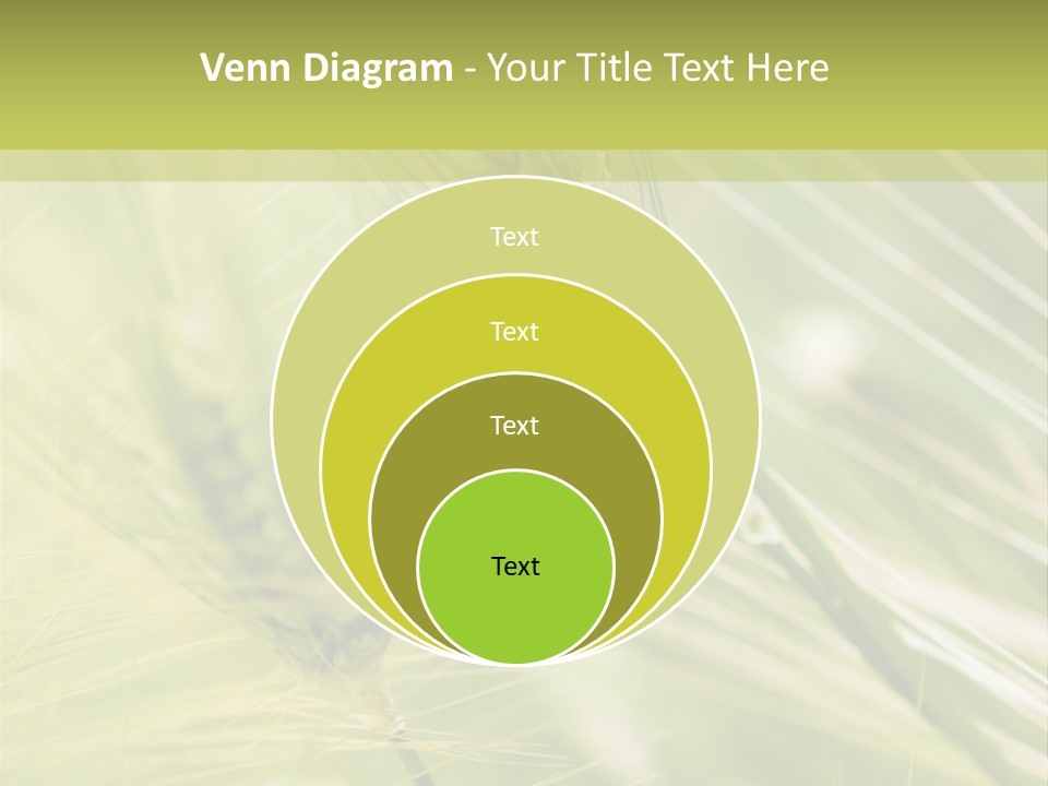 Grain Sun Grass PowerPoint Template