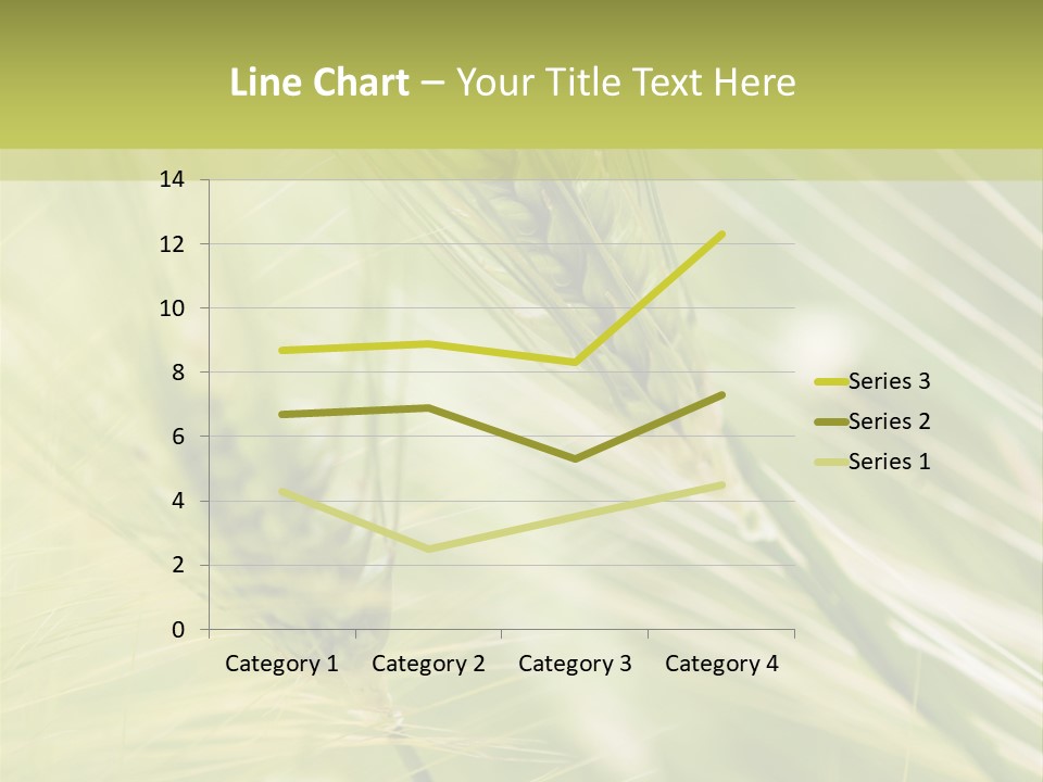 Grain Sun Grass PowerPoint Template