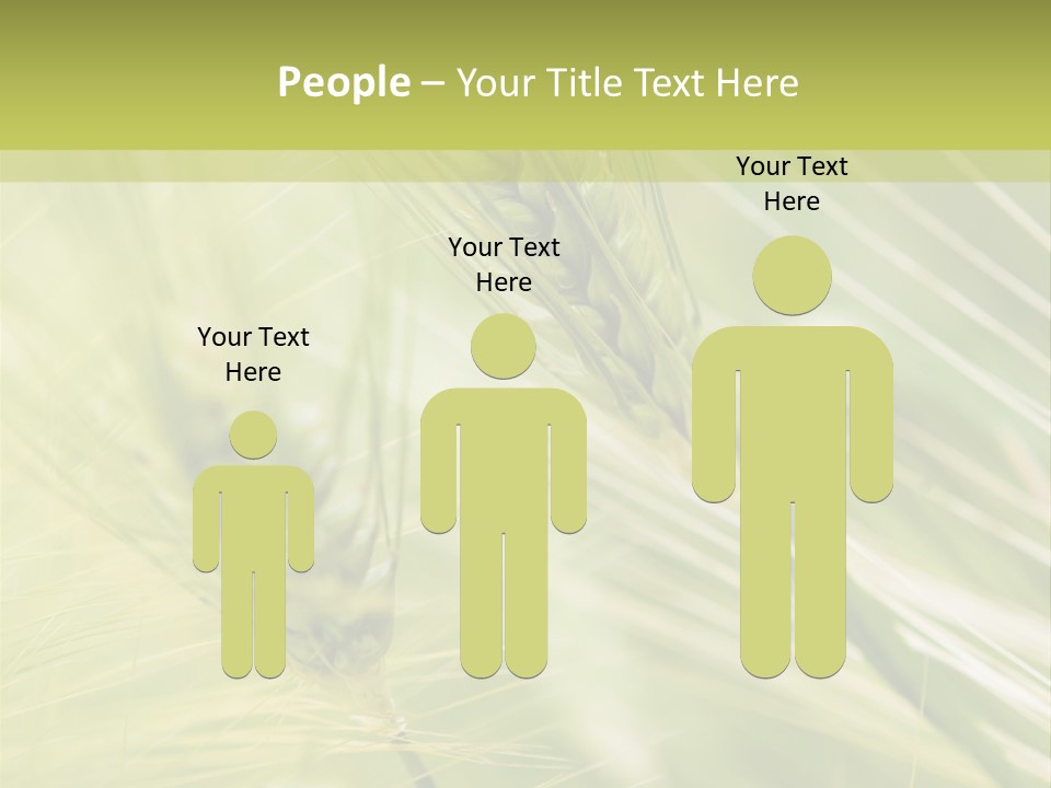 Grain Sun Grass PowerPoint Template