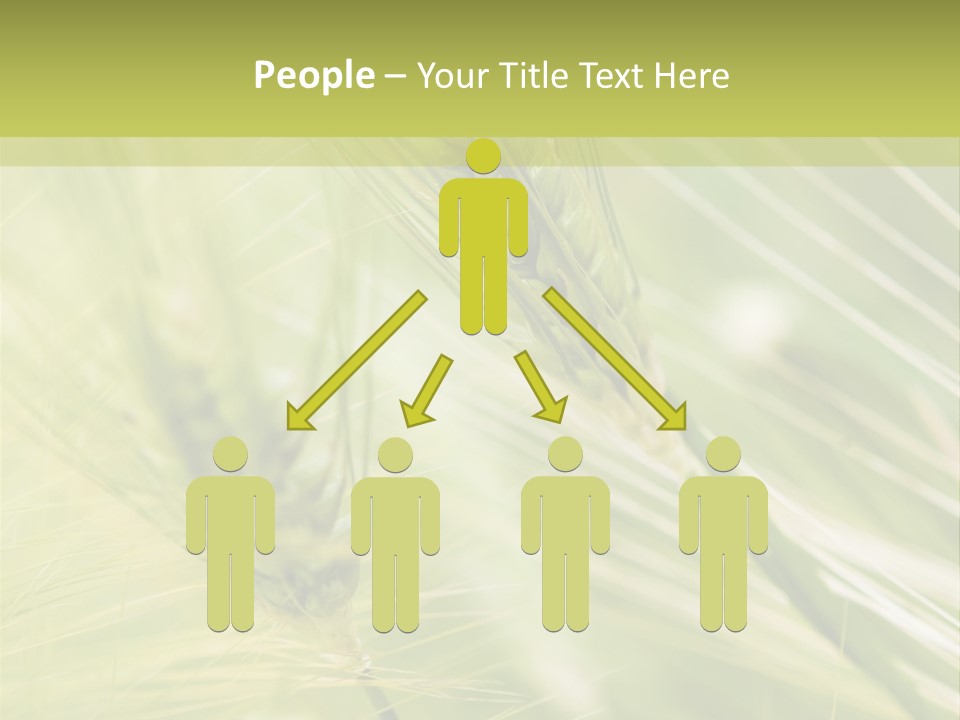 Grain Sun Grass PowerPoint Template